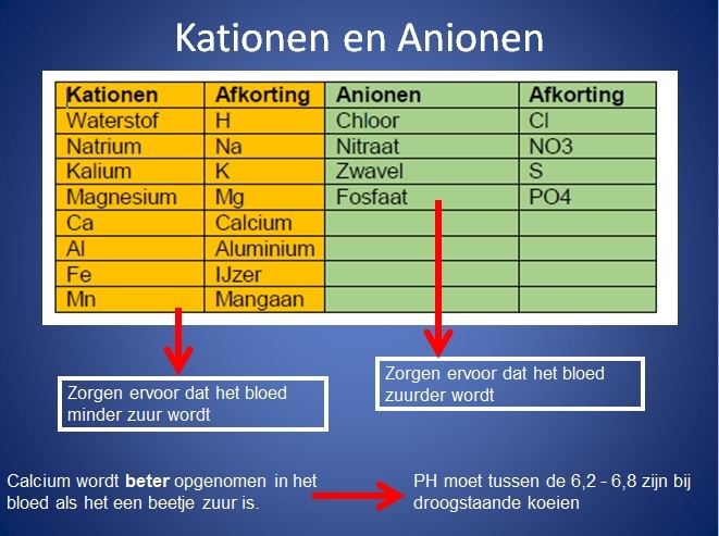 Werking Kationen Anionen balans (KAB)
