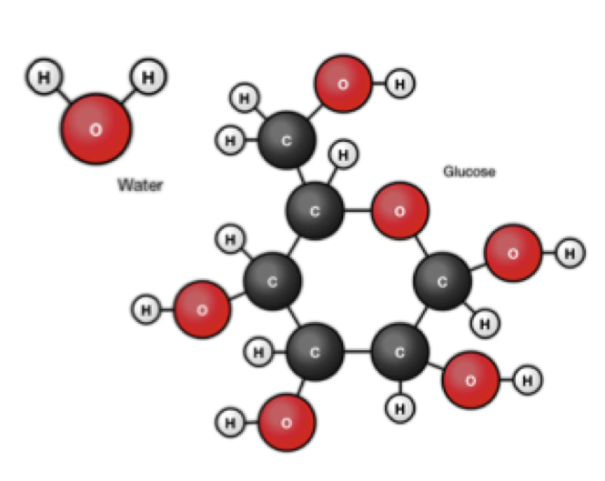 Water en Glucose