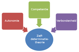 Figuur 1 zelfdeterminatietheorie