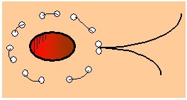 tabakszak hechting