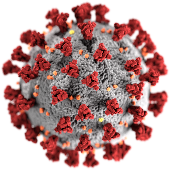 Model van het corona-virus