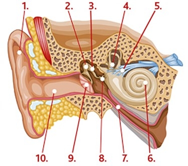 De foto bij opdracht 3