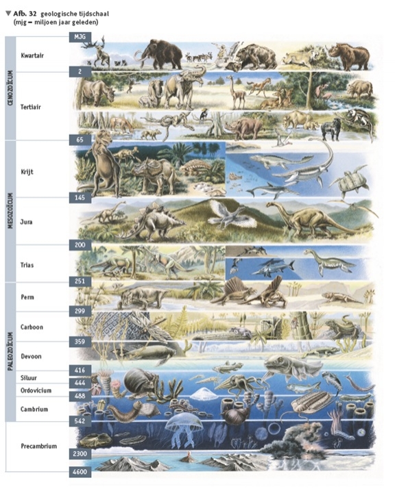 Geologische tijdschaal