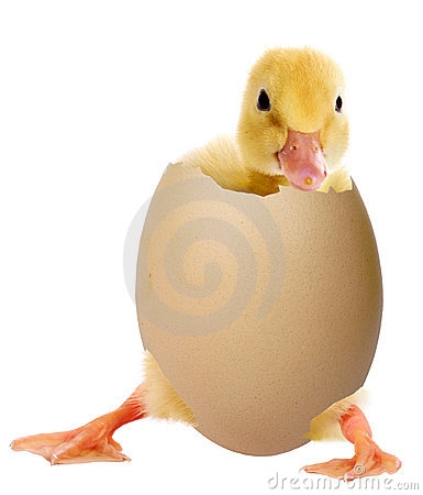 eend