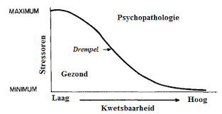 Kwetsbaarheid-stressmodel