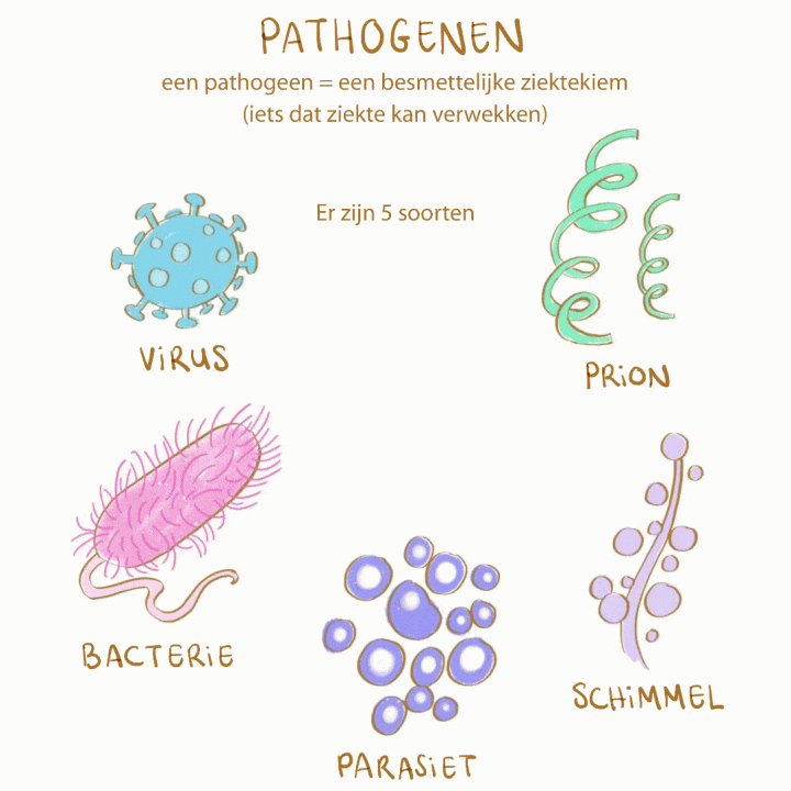 Pathogenen