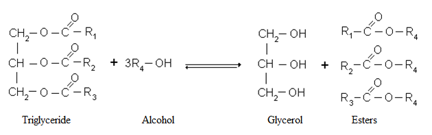 Chemical conversion from oil or fat to biodiesel. Triglycerid is the fat or oil, the ester is the biodiesel. Glycerol is a by-product.