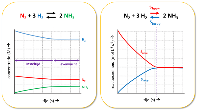 Een concentratie-tijd en reactiesnelheid-tijd grafiek voor het ammoniak evenwicht.