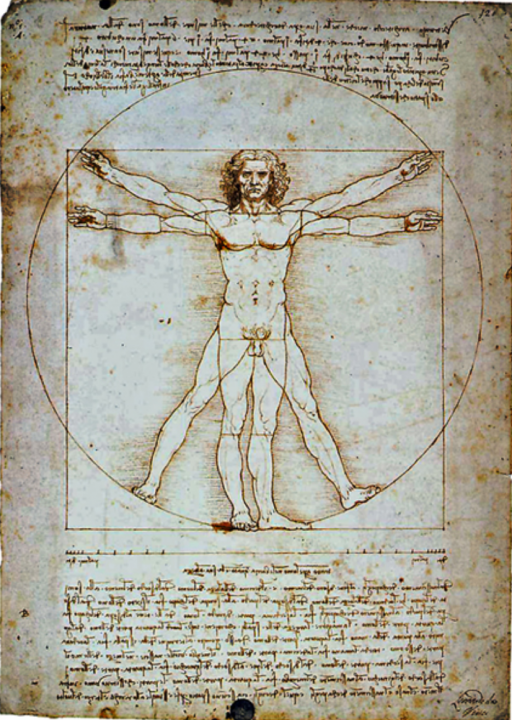 Leonardo da Vinci: Vitruviaanse figuur