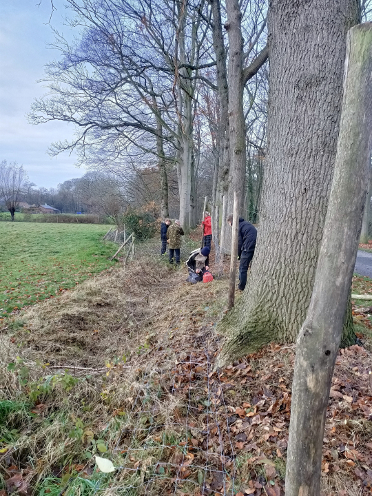 plaatsen van een afrastering