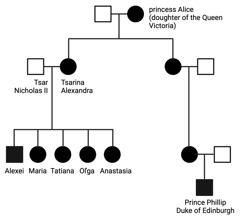 Figure 15.5 Family tree of the Romanov dynasty. Square symbol – man, circle symbol – woman. The dark squares of the circle represent family members who are descendants of Princess Alice through the maternal lineage.