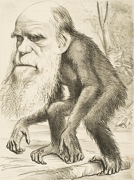 Spotprent Darwin