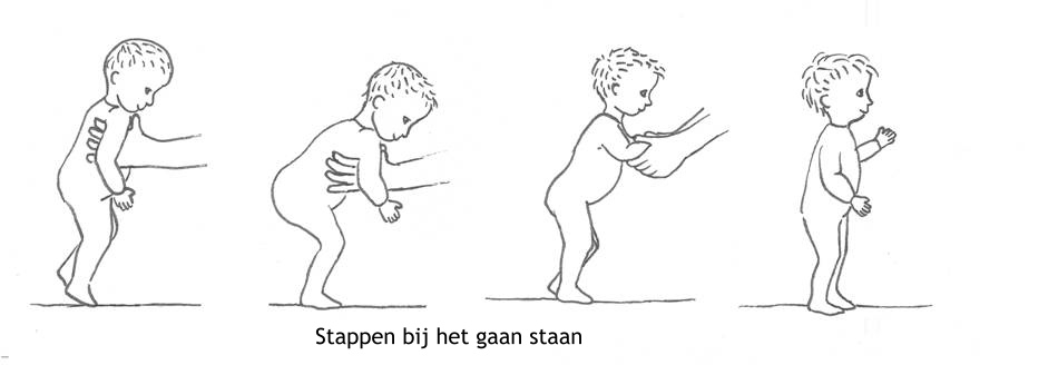 Figuur 12.2  Motorische ontwikkeling in het eerste levensjaar (ontleend aan Van den Brande JL et al. Leerboek Kindergeneeskunde. Utrecht, De Tijdstroom, 2010).