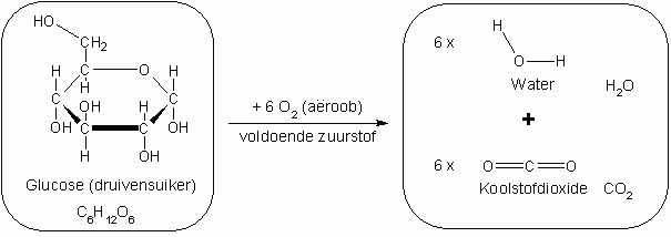 Proces van oxidatieve omzetting van glucose