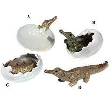 krokodil