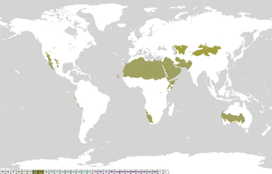 Ligging van woestijnen op de wereld