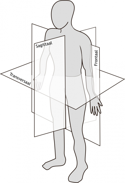 Figuur A.1. Standaard anatomische houding met de drie anatomische vlakken. 1) Frontaal of coronaal vlak: verdeelt het lichaam in een ventraal (buik) en dorsaal (rug) deel; 2) (mid)sagittaal of mediaan of longitudinaal of lengte vlak: verdeelt het lichaam in een linker- en rechterdeel; 3) transversaal of dwars- of horizontaal vlak: verdeelt het lichaam in een craniaal (hoofd)  en caudaal (staart) deel.