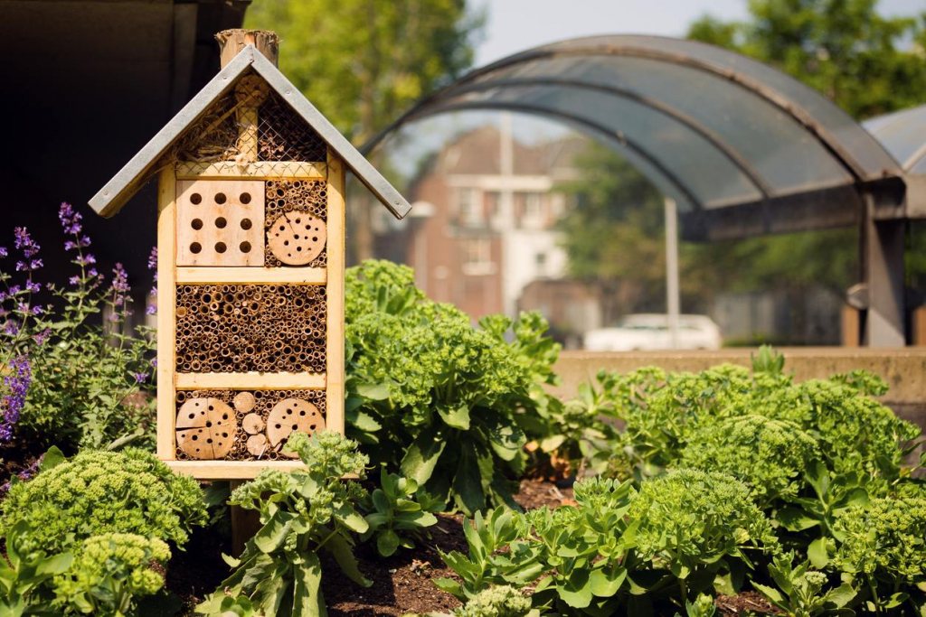 Stadslandbouw met oog voor natuur