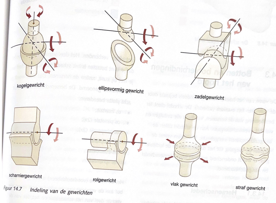 Indeling van gewrichten