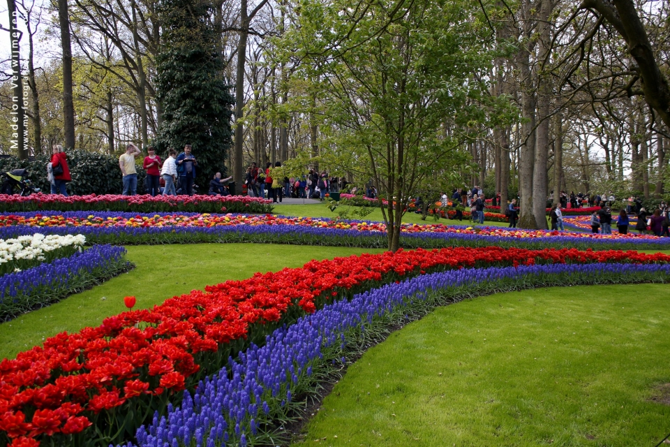 bollen en knollen op de Keukenhof, Lisse