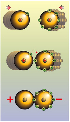 ionbinding