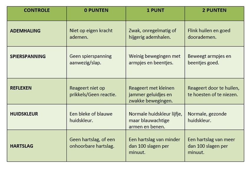 Apgarscore uitgewerkt