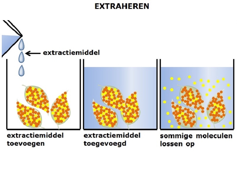 Extraheren