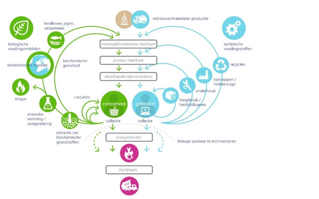 Feedbackloops (Biologisch en Technologisch)