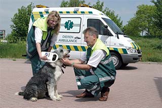 dierenambulance