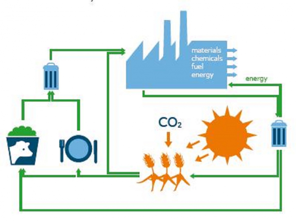An illustration of the biobased economy