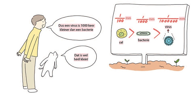 Er is een belangrijk verschil tussen een bacterie en een virus.