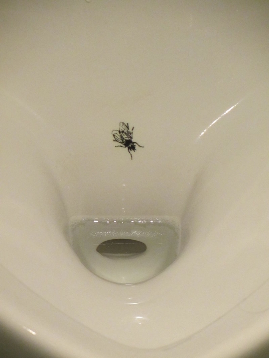 Fly in Schiphol Urinal