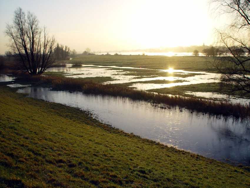 Uiterwaardverlaging bij de Lek