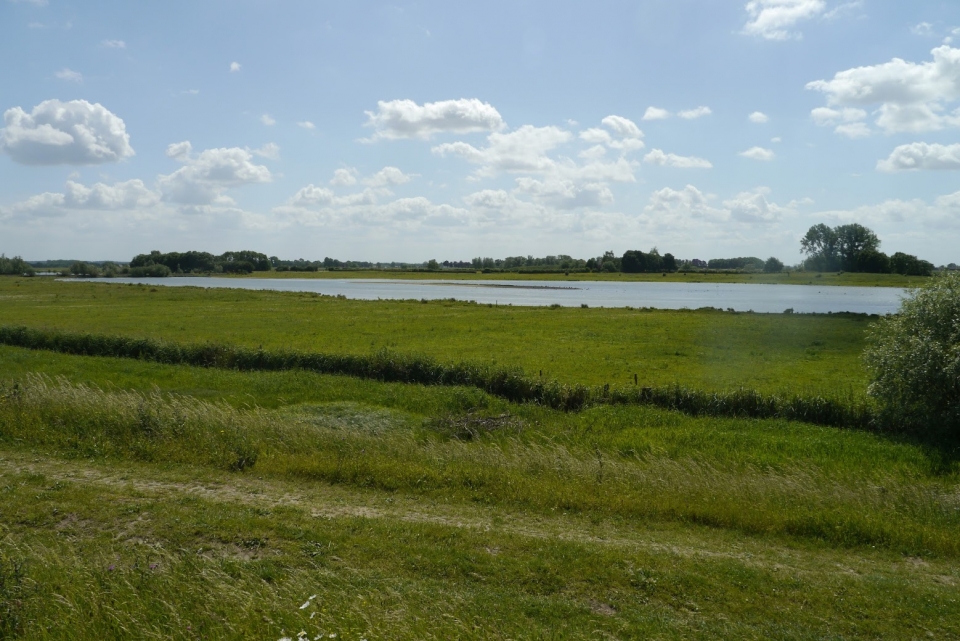Vogels hebben de ruimte in de Vreugderijkerwaard, een Ruimte voor de Rivier locatie aan de IJssel bij Zwolle (foto JJ Wietsma)