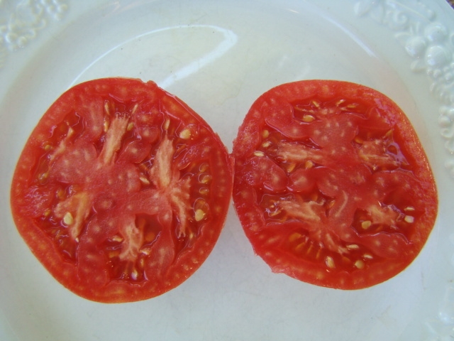 tomaten