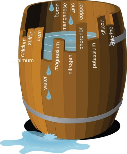 De wet van het minimum