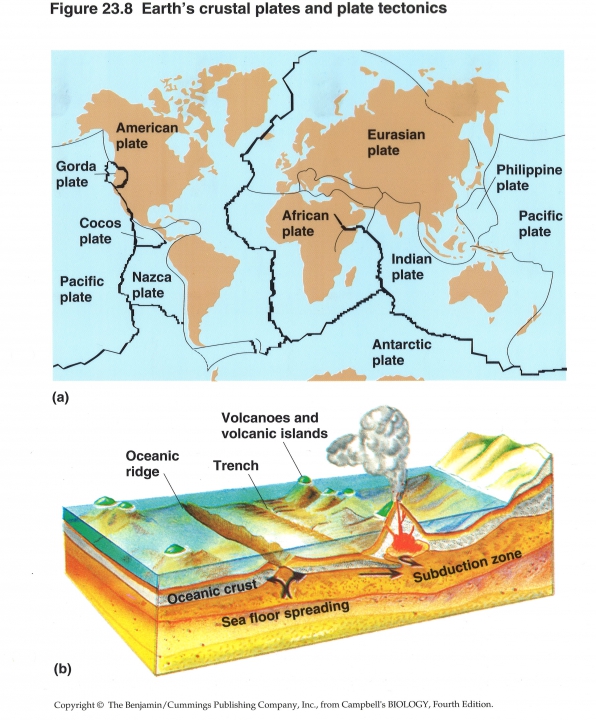 continental drift (Plaattectoniek)
