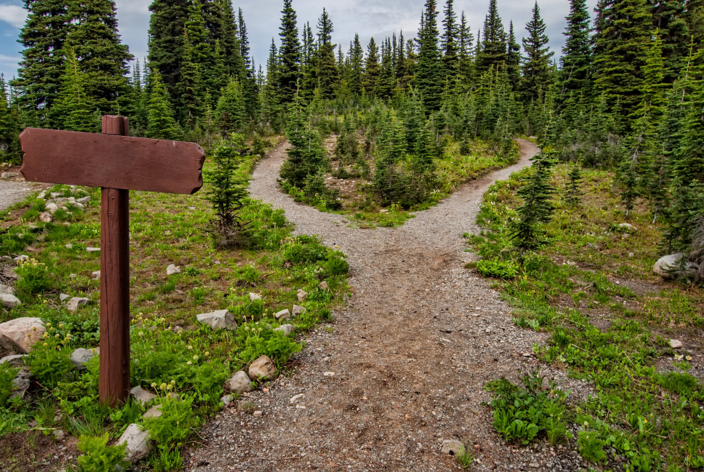 Foto door James Wheeler via Pexels