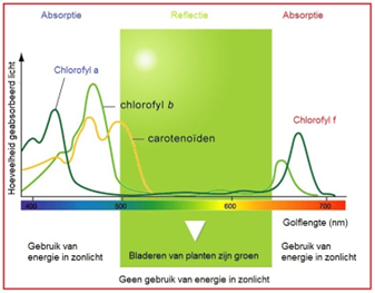 Afbeelding 2. Absorptiespectrum (Börger & Broekhuizen, z.d.)