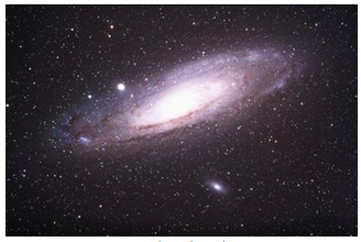 Andromedanevel. bron: Foto door John Lanoue