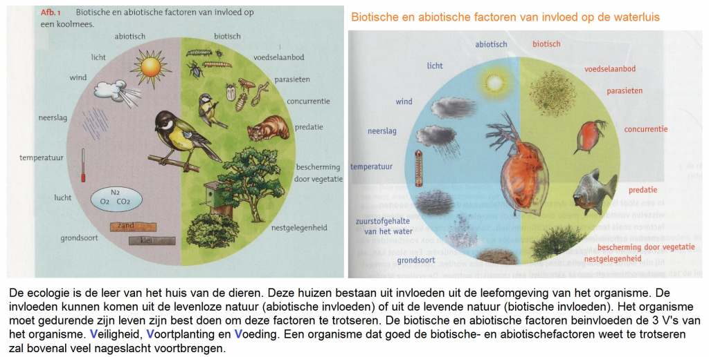 Milieu invloeden voor een individu