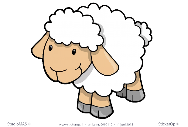 schaap