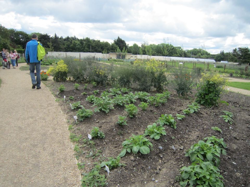 Airfield, moestuincomplex in Dublin