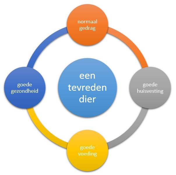 Cirkel van tevredenheid