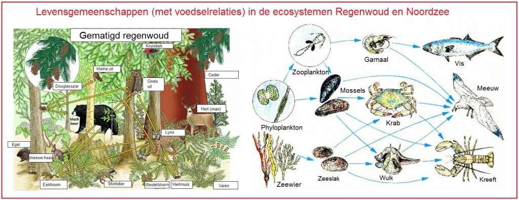 Levengemeenschappen