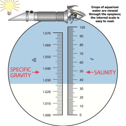 Refractometer