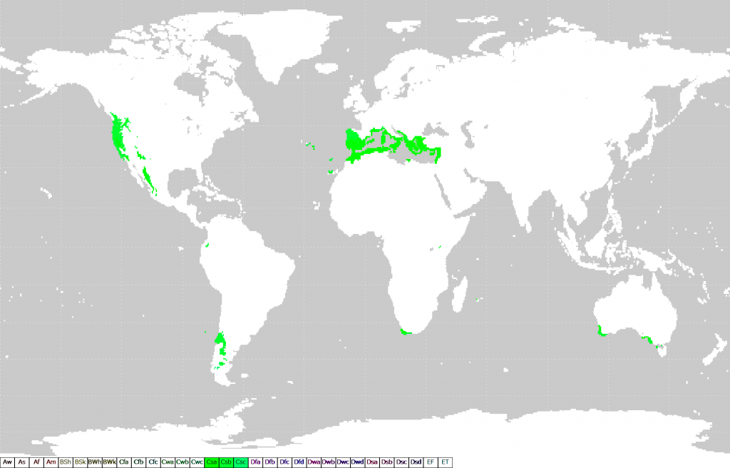 Schematische kaart van gebieden met een mediterraan klimaat (Cs)