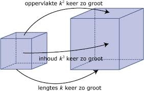 Vergroten met factor