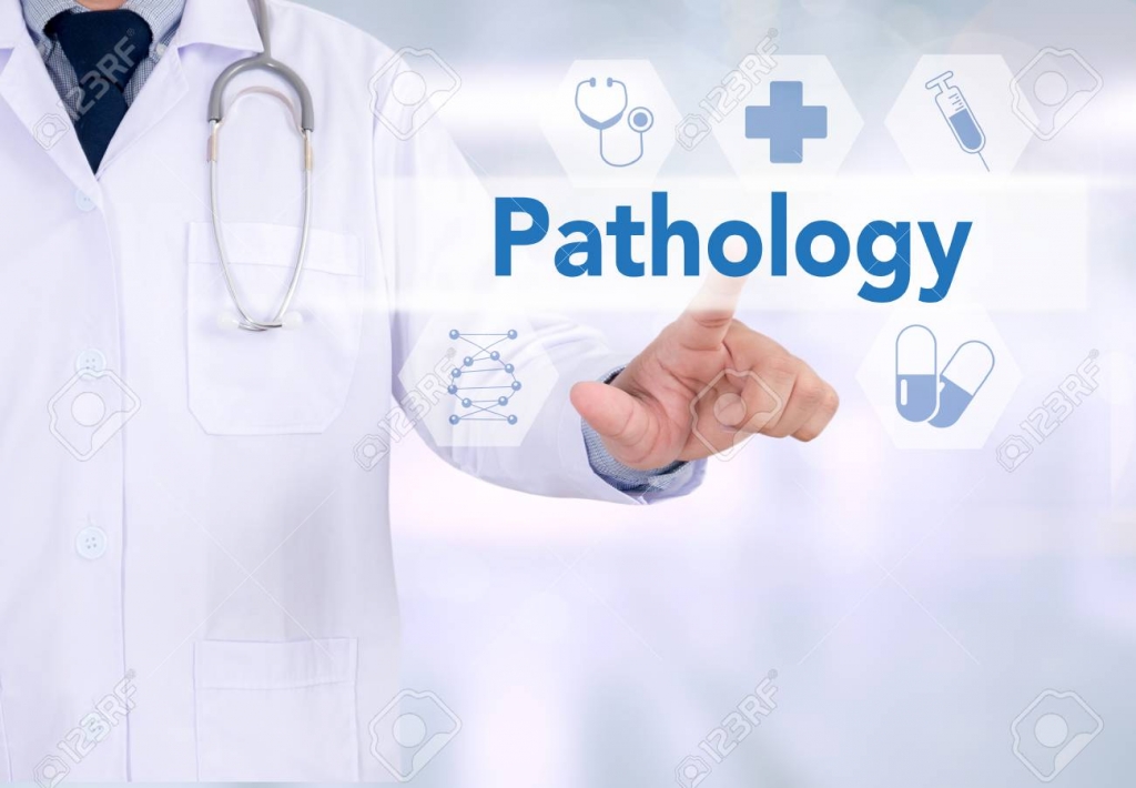 pathologie van de nieren 