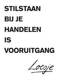 Stilstaan bij je handelen is vooruitgaan - Loesje